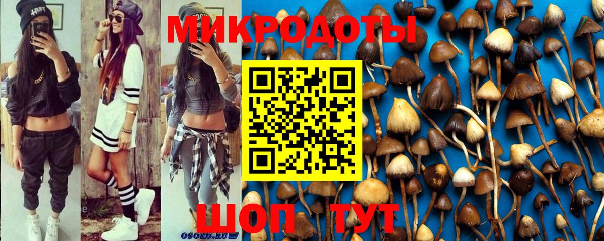 Галлюциногенные грибы мицелий Кировск