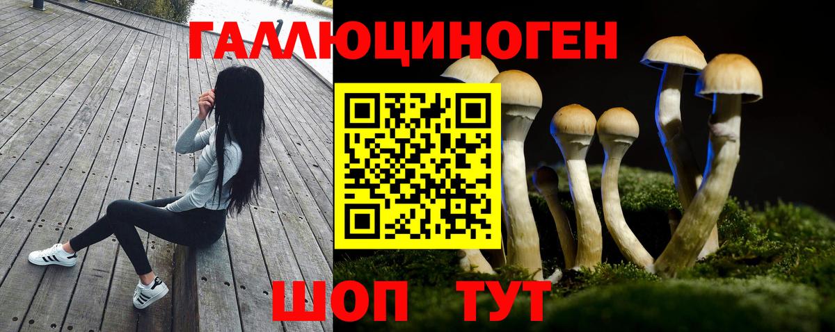 Кировск  Галлюциногенные грибы мухоморы  Вход с VPN 